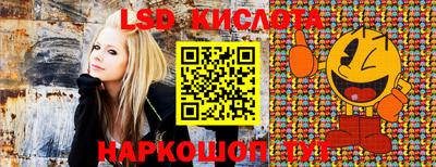 гидропоника Кунгур