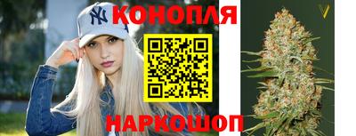 гидропоника Кунгур
