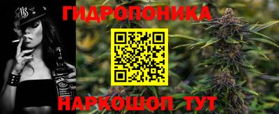 гидропоника Кунгур