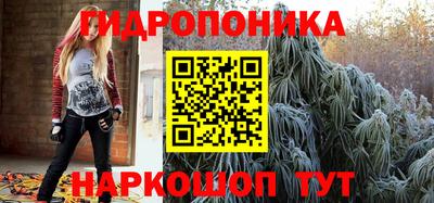 гидропоника Кунгур