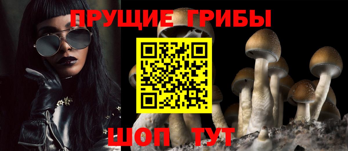 купить закладку  Галлюциногенные грибы MAGIC MUSHROOMS  Вход с VPN  Камень-на-Оби 